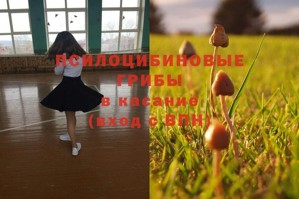 амф Мегион