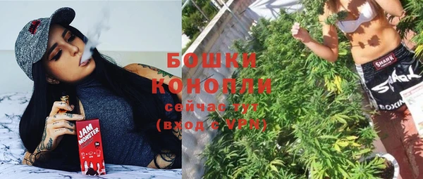 гидра Новочеркасск