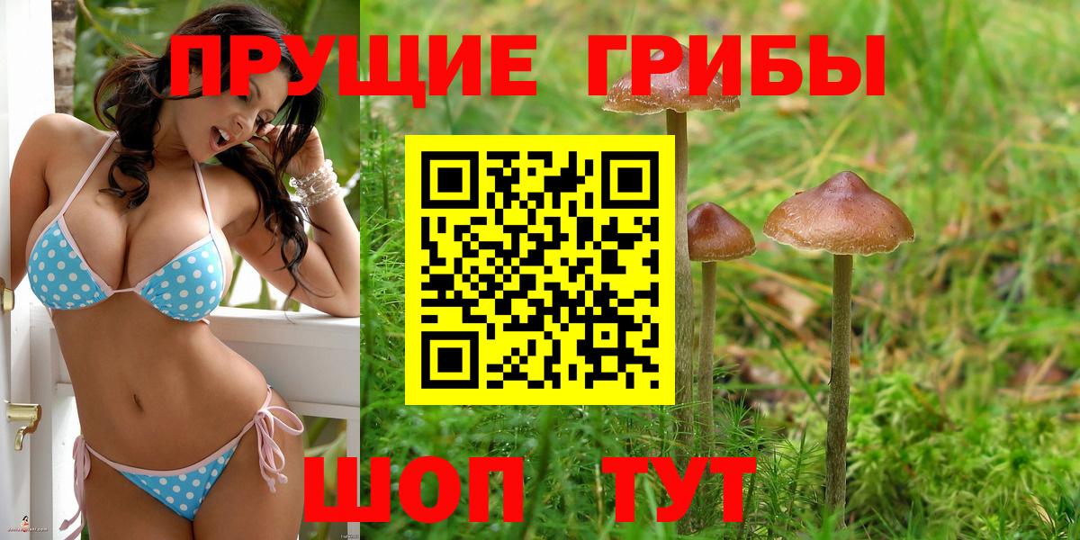 Псилоцибиновые грибы Magic Shrooms  Вход с VPN  Каспийск  Галлюциногенные грибы Magic Shrooms 